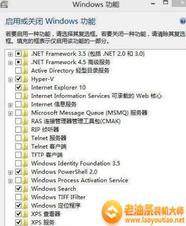 找到“.NET Framework 4.5 高级服务”