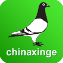 中国信鸽信息网app下载安装-中国信鸽信息网安卓最新版