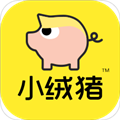 小绒猪app免费版